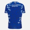 Auxerre 2025/26 Warm-up-Hemd für Erwachsene Auxerre 2025/26 Warm-up-Hemd für Erwachsene