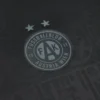 FK Austria Wien 2025/26 Trikot Special Edition