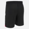 Georgischer Fussballverband 2025/26 Auswärts-Shorts für Erwachsene Georgischer Fussballverband 2025/26 Auswärts-Shorts für Erwachsene
