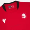 Georgischer Fussballverband 2025/26 Drittes Trikot für Erwachsene Georgischer Fussballverband 2025/26 Drittes Trikot für Erwachsene