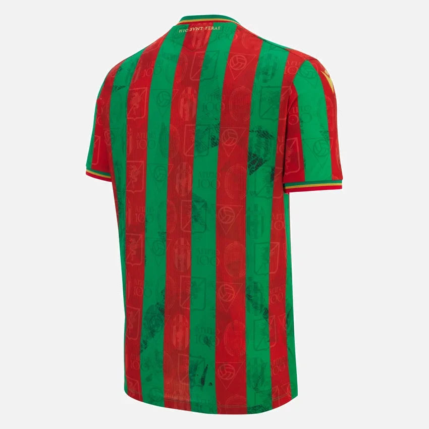 Ternana Calcio 2025/26 Heim-Trikot für Erwachsene Ternana Calcio 2025/26 Heim-Trikot für Erwachsene